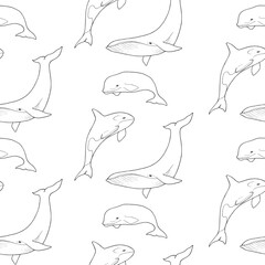 Seamless pattern with killer whales, dolphin and whales. Pencil-drawn marine life