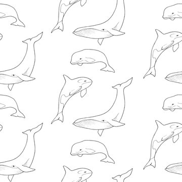 Seamless pattern with killer whales, dolphin and whales. Pencil-drawn marine life