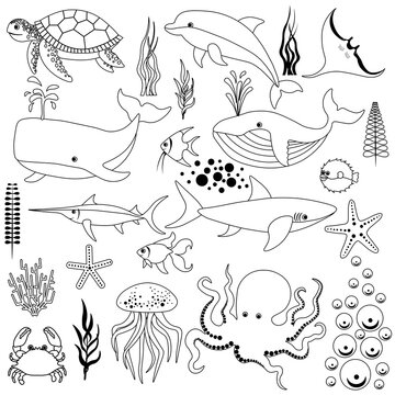 Cute set of marine fish and algae outline isolated on white background. Sea animals in a flat style. Cartoon wildlife for web pages.
Stock vector illustration for decor and design, textiles, books