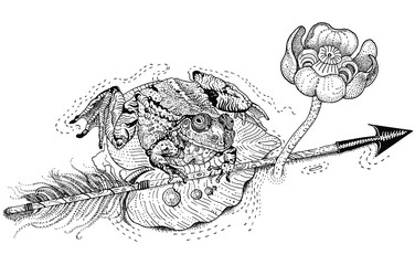 The frog princess. Amphibian sits on a water lily leaf and holds an arrow. Russian fairytale. Hand drawn ink pen illustration isolated black on white. T shirt print, tattoo design in dotwork style.