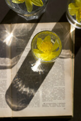 glass with water and a book in the sun