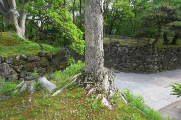 小諸城趾、二の丸跡から南丸跡を望む