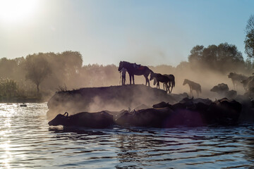 Fototapety na wymiar - Fototapeta24.pl