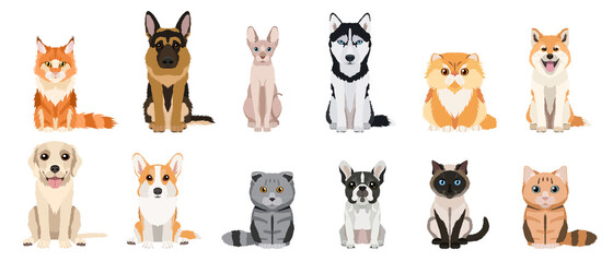 Cartoon cats and dogs breeds set. Collection of vector illustrations isolated on white background. Flat design © juliabelkina