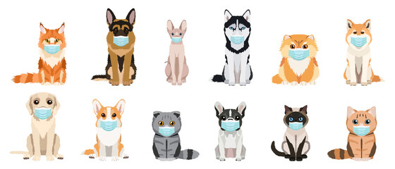 Cartoon cats and dogs breeds set. Cats and dogs wearing protective face masks. Collection of vector illustrations isolated on white background. Flat design
