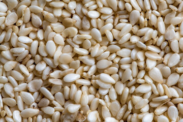 Sesame seeds macro shot. Texture of sesame. Food background.