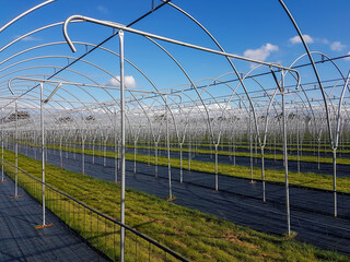 construction of tunnels for raspberries