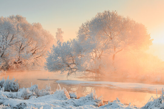 Winter landscape