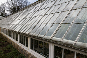 Detail of old glass house greenhouse