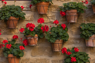 A wall full of pots with red geraniums in the small town of Ores, Aragon, Spain.