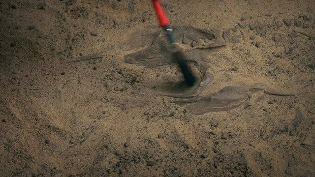 Jurassic Fish Fossil Is Excavated With Brush