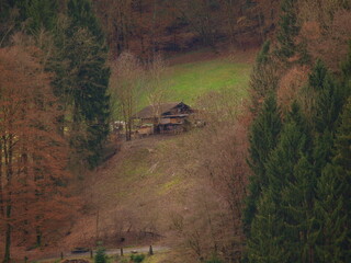 OLYMPUS DIGITAL CAMERA © Adrian