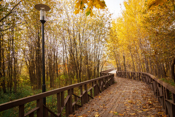 Autumn Park with yellow and orange foliage. Wooden road in the Park. Lantern in the autumn Park.