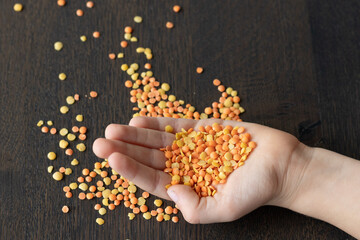Little hands holding a portion of yellow and red lentils 