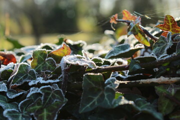 Autumn morning and are warm sun