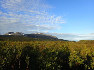 Fototapeta premium Abisko national park / Lapland, Sweden