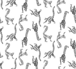 Seamless pattern lemurs Madagascar. Vector Hand drawn sketch Illustration engraving style isolate on white background © Sasha Al