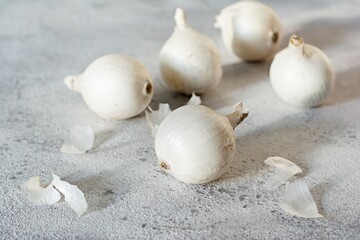 Organic sweet white onion on a gray background with hard shadows, farm harvest, healthy vegetable.