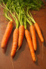 Bouquet of carrots spread out on a table vertically