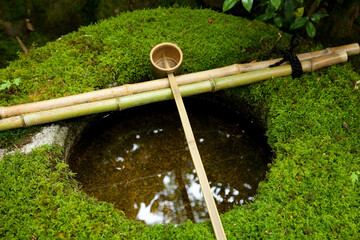 苔むした手水鉢