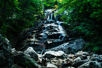 waterfall in the forest