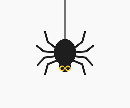 Cute hanging spider. Halloween.