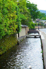 Fototapeta na wymiar 明神川と石橋