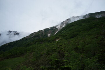 残雪　栂池自然園　白馬　夏休み　トレッキング　ハイキング