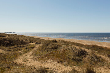 Fototapeta na wymiar view of the beach in Halmstad, Sweden