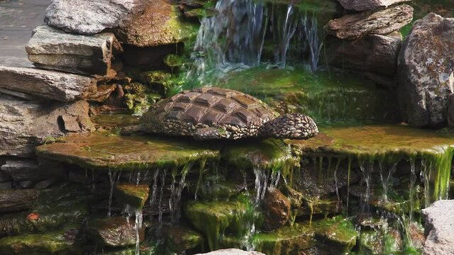 Decorative fountain. Decorative stucco sculpture turtle. The turtle is made of stone and conches. Close-up. Close-up. 10 / 04 / 2020, Russia, Moscow