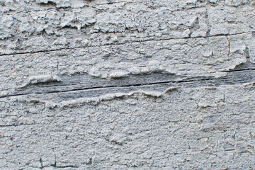 Texture of an old wooden board with a staple. texture background