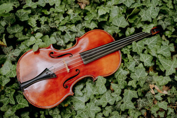 Musical instruments on green background