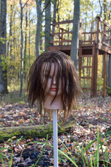 Severed Head on a Pike Grotesque Halloween Horror Execution