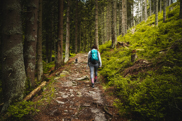 Obraz premium hiking in the mountains