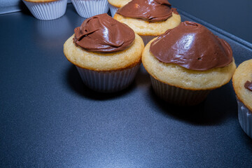 Chocolate-frosted cupcakes