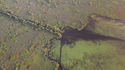 Danube Delta, Romania