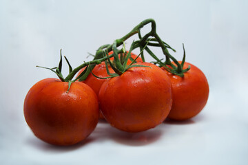 Tomatoes. Tomato branch. Tomatoes isolated on white. With clipping path. Full depth of field.