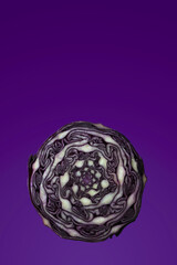 Floating purple cabbage positioned in bottom section of frame with lots of copy space/negative space above for text and customisation. Food photo set against purple background