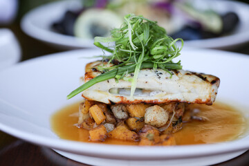 Dinner plate 