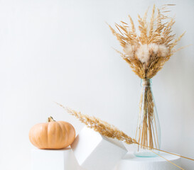 Pumpkin, bouquet of dry flowers on white pedestals. Autumn still life with a place for text