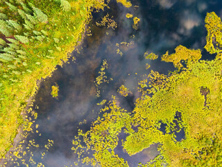 Aerial view of colorful pond in the marshlands during a fall season day. Taken in Yukon, Canada.