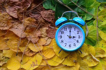 old alarm blue clock on autumn leaves