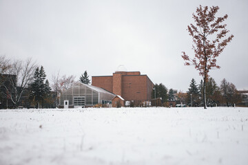 SCHOOL WINTER FALL