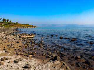 Fototapeta na wymiar Rocky Sea of Galilee Shoreline in Tabgha , Israel