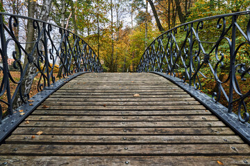 Wooden pedestrian bridge in a park