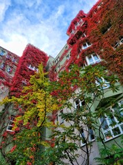 autumn in the city