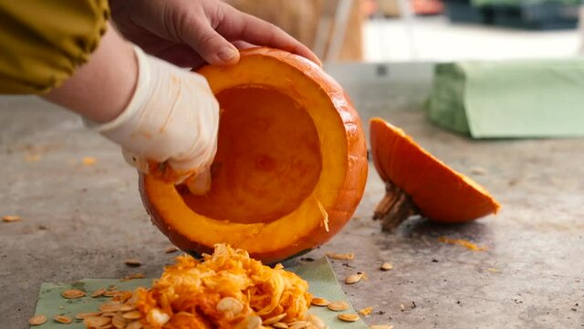 Scraping fresh pumpkin while making a lantern. Preparation of paraphernalia for the autumn holiday. A gloved hand takes out the seeds with a spoon.