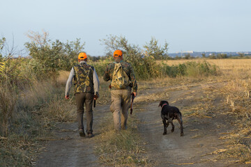 Pheasant hunters with shotgun walking through a meadow.