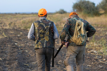 Pheasant hunters with shotgun walking through a meadow.
