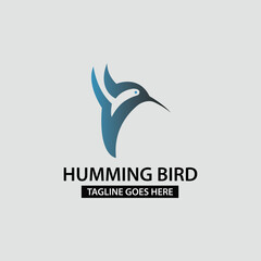 Humming bird logo design template. Vector illustration